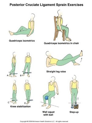 Posterior Cruciate Ligament - Anatomy, Function, Injury