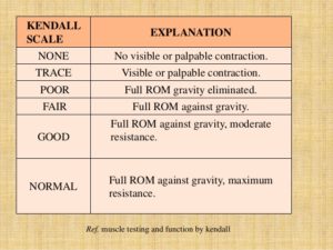 Kendall scale for MMT