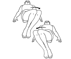 Lower Trunk Rotation exercise