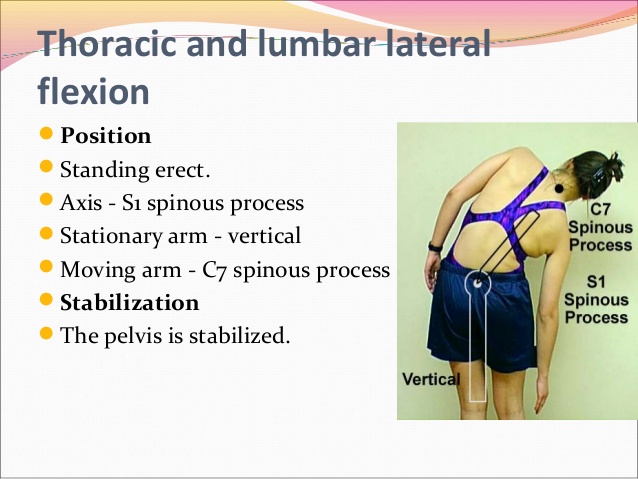 Thoracic and lumbar lateral flexion 