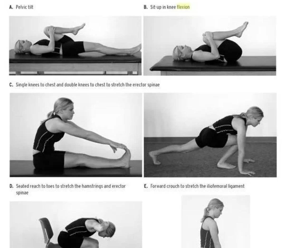 Ab exercises for back best sale pain sufferers