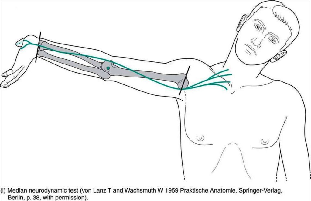 Upper Limb Tension Tests Ultts Samarpan Physio