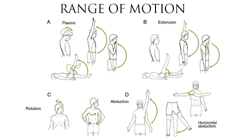 Range Of Motion Of Body Joint And Physiotherapy Exercise