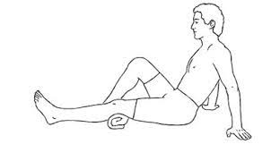 Quadriceps isometric SQE