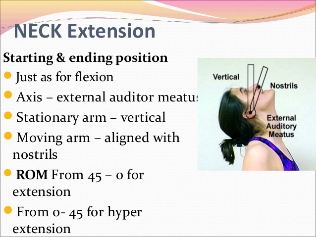 Neck extension