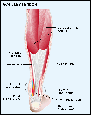 pain in lower achilles heel