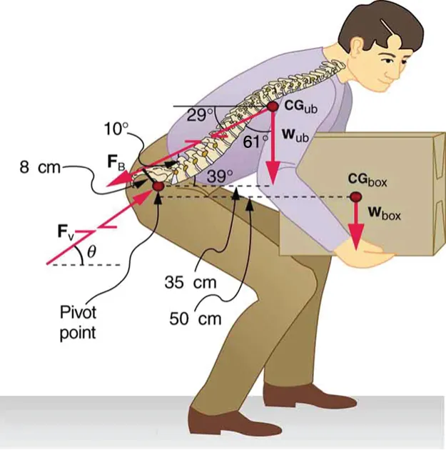 Back Pain Force Torque