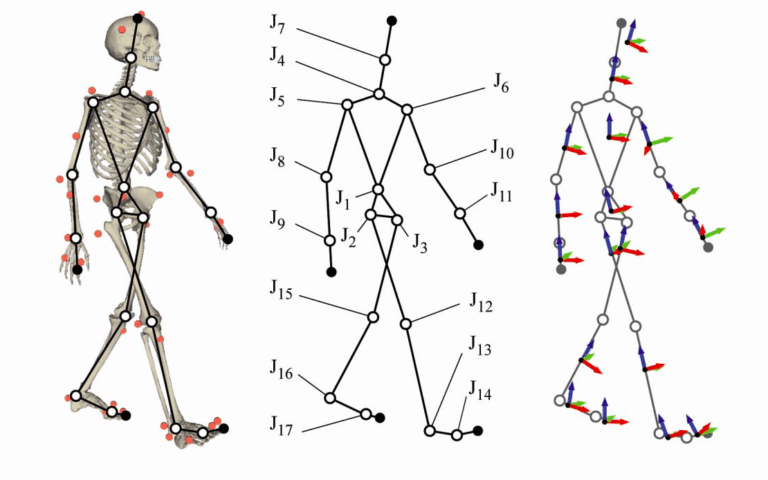 USE OF BIOMECHANICS IN PHYSIOTHERAPY: