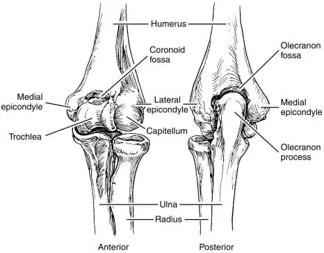 Elbow Joint Structure