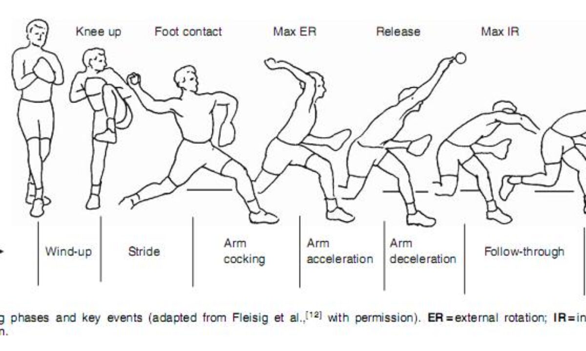 Sample Rovario Motion Examples Of Rotary Motion In Sports
