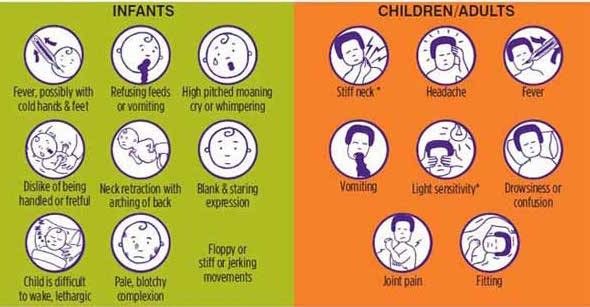 Meningitis Cause Symptoms Treatment Samarpan Physio