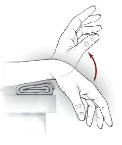 Wrist Flexion