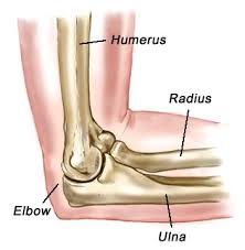 Elbow Pain : Cause, Symptoms, Diagnosis, Physiotherapy Treatment