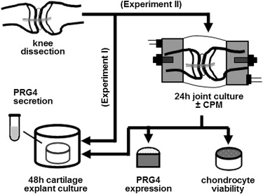 Mechanism of CPM machine
