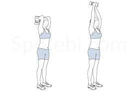 Tricep Extensions exercise