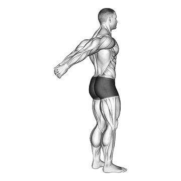 standing chest and shoulder stretch