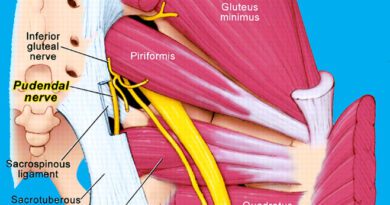 Axillary Nerve - Origin, Course, Structure, Function