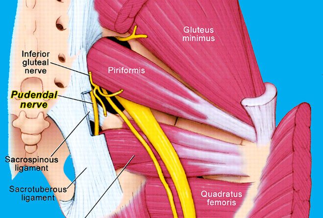 best mattress for pudendal nerve entrapment