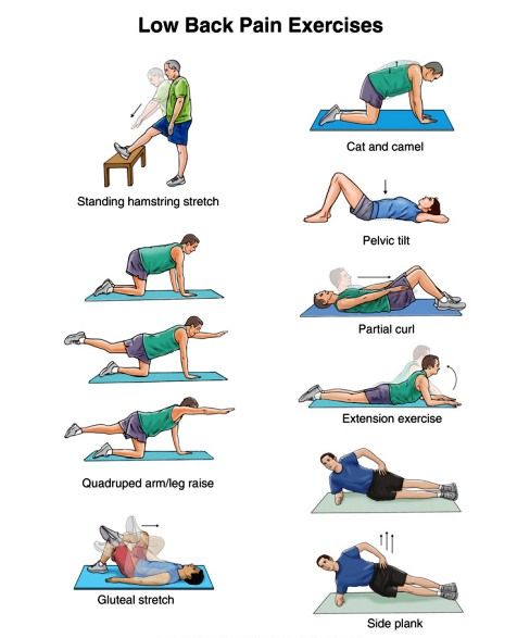 Physio stretches discount for lower back