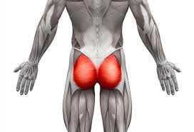Gluteal muscle pain