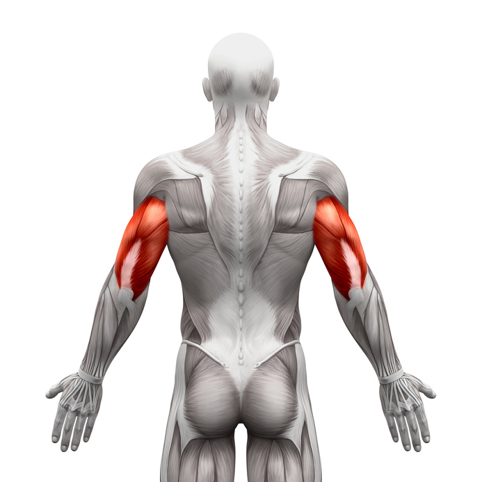 Triceps muscle pain