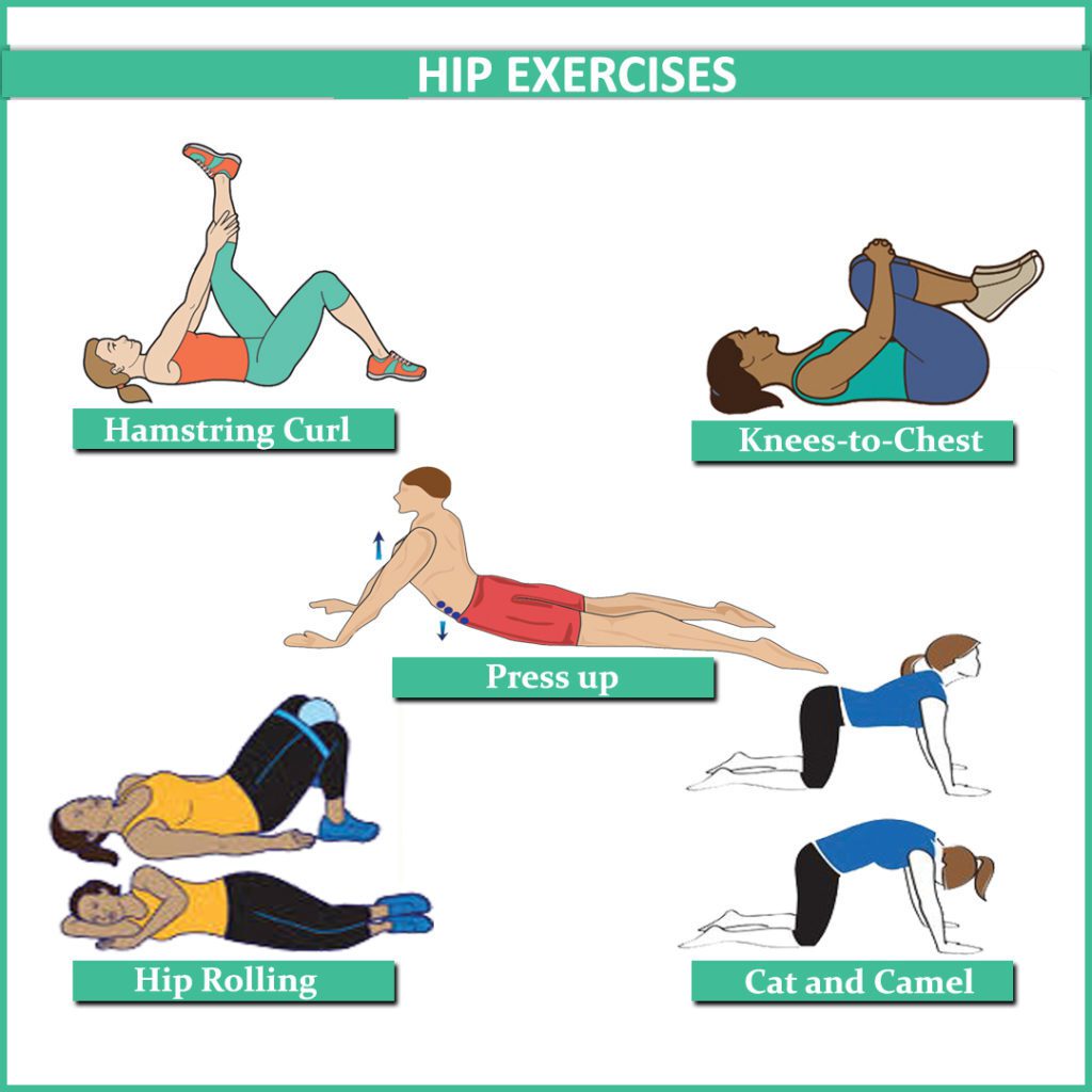 Hip EXERCISE