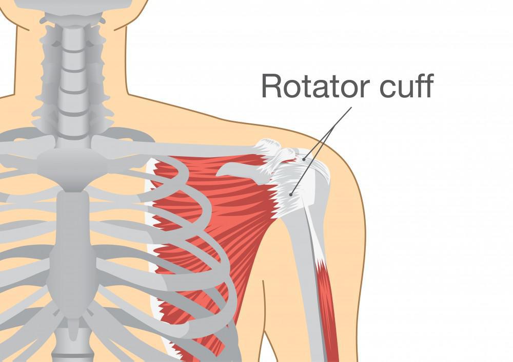 Rotator cuff muscle pain: