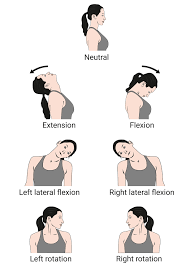 Neck active Assisted Exercise: