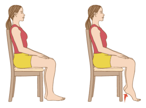 Seated foot as well as heel raise exercise