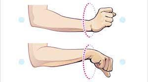 Wrist pain on the ulnar side: Cause, Symptoms, Treatment, Exercise