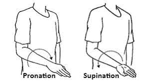 Wrist pain on the ulnar side: Cause, Symptoms, Treatment, Exercise