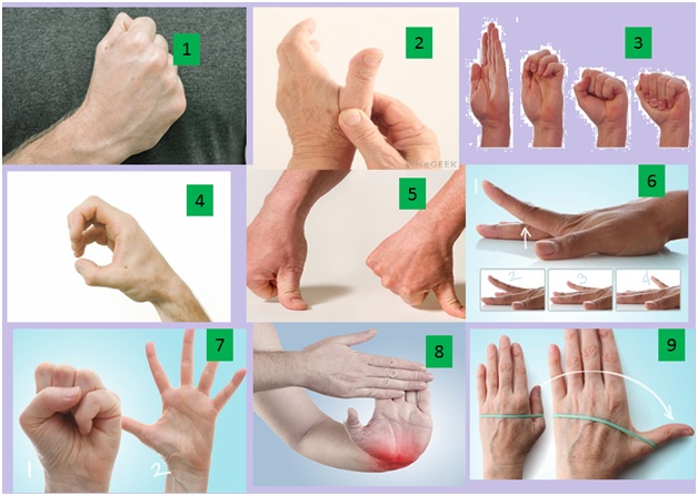 Hand & finger exercises