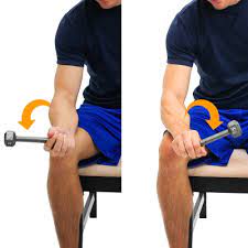 Wrist supination and pronation with dumbbell