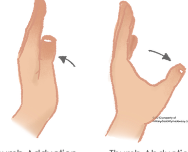 Thumb abduction and adduction