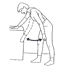 Pendular shoulder flexion and extension exercises