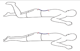 Active knee flexion and extension in prone