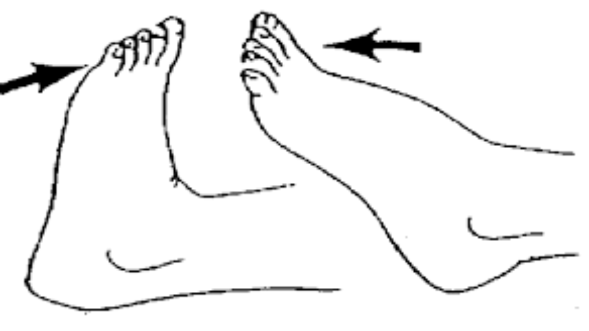 Ankle Range of motion exercise: Active, Active assisted, Passive