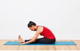 hamstring muscle stretch