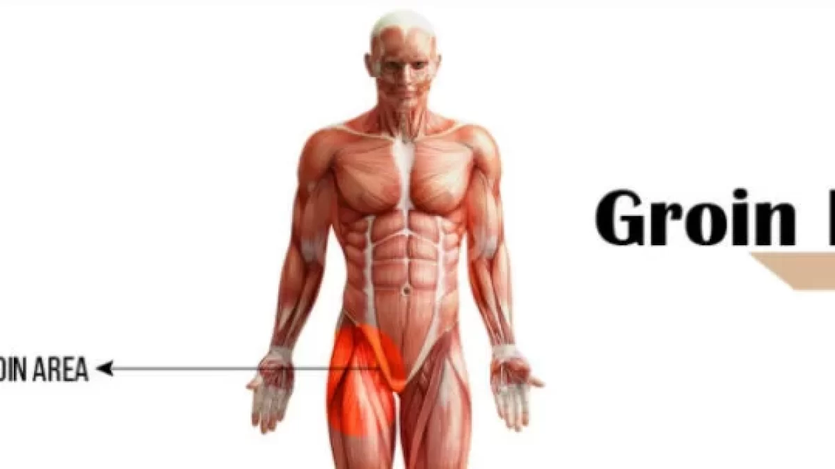 Muscle Pain in the Groin area: Cause, Symptom, Treatment
