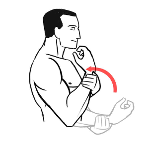 Active-assisted elbow flexion as well as extension
