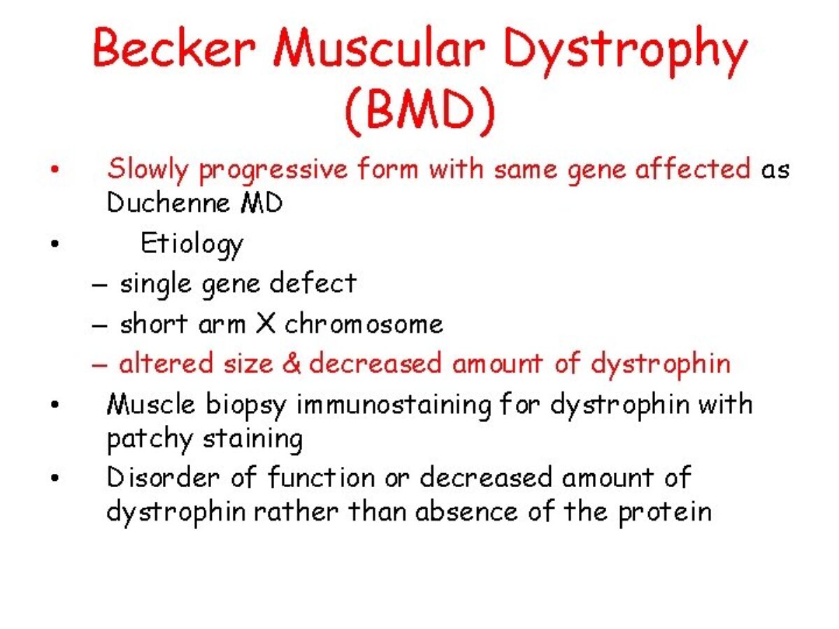 Muscular Dystrophy Life Expectancy: Type And Prognosis, 48% OFF