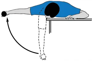 Bent-Over Horizontal Abduction