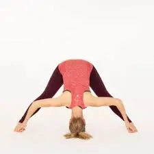 Wide-Legged Forward Fold (Prasarita Padottanasana )