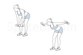 Bent over dumbell side raise