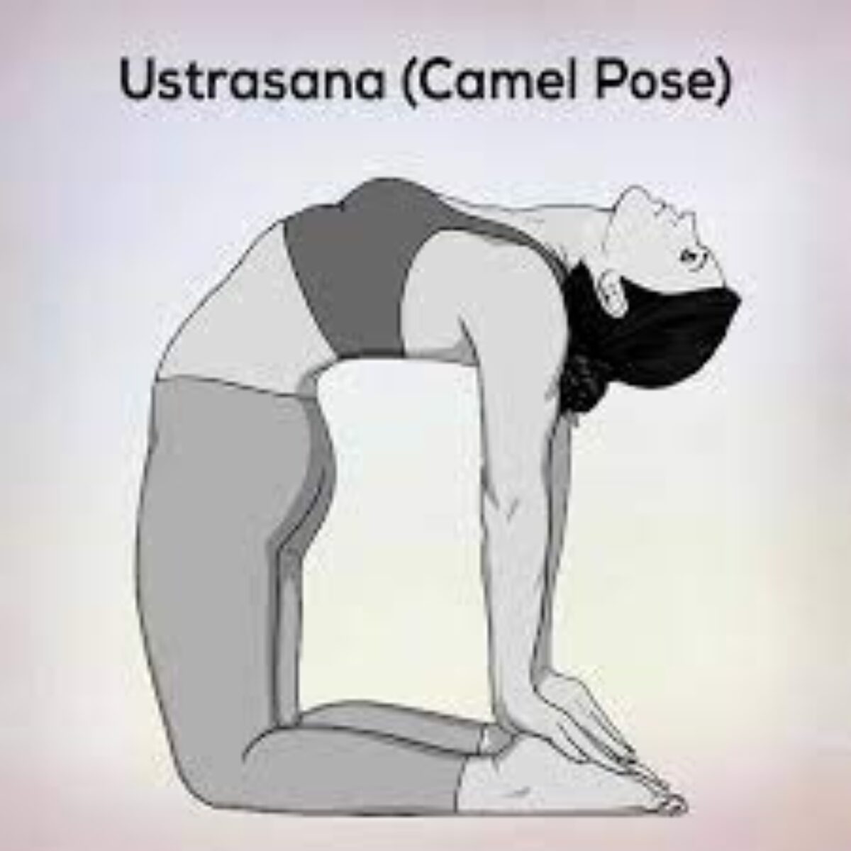 Ushtrasana (Camel Pose) Benefits: 👉Relieves back pain 👉Reduces fat on  abdomen, thighs 👉Helps improve the posture of the body 👉Increase the… |  Instagram