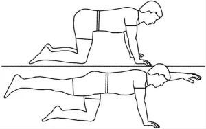 Lower back exercises at home Archives - Samarpan Physiotherapy Clinic