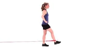 Resisted Hip Flexion with elastic tube