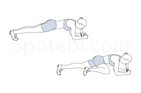 External and internal obliques muscle strengthening exercise