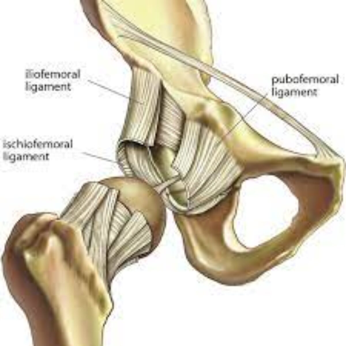 Hip Labral Tear Recovery Without Surgery