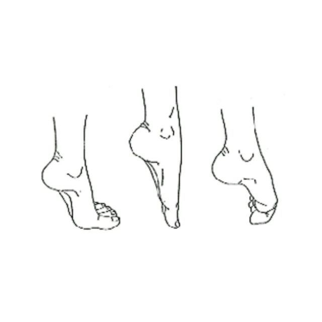 Toe points and curls